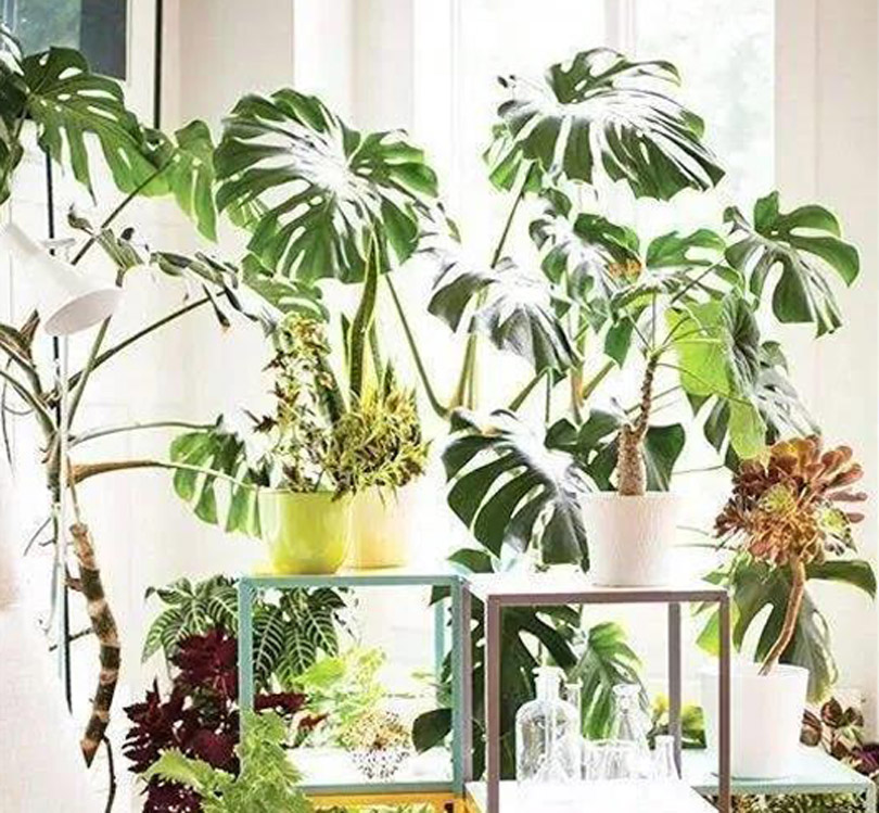 1600048276635407.jpg 微信圖片_20200914094144.jpg