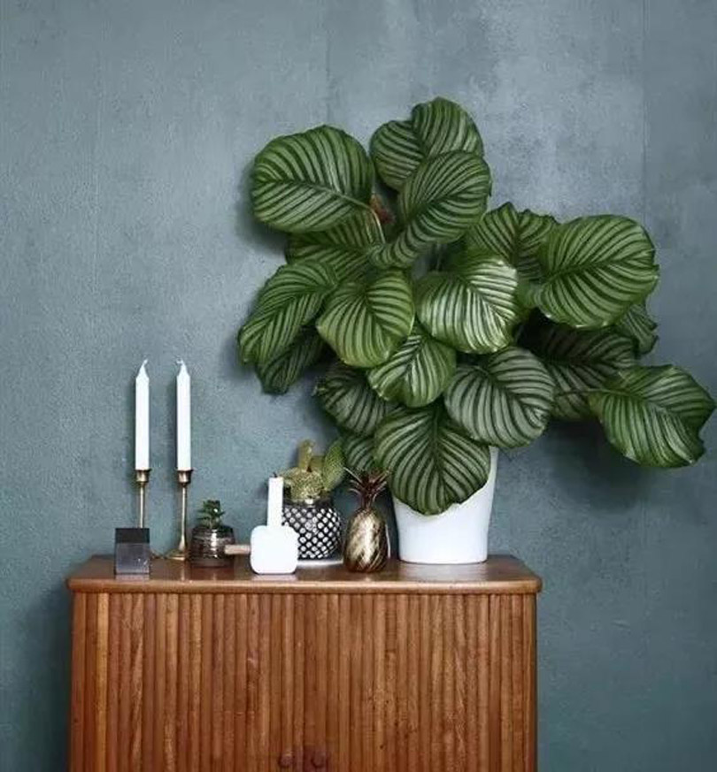 1600048301979833.jpg 微信圖片_20200914094150.jpg