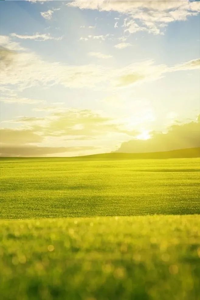 1712470054114038.jpg 微信圖片_20240407140311.jpg