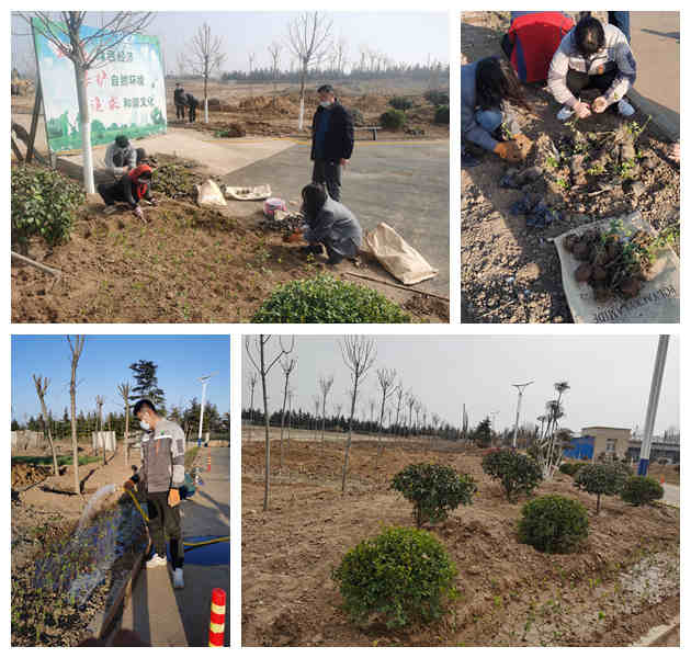 1648022824656035.jpg 綠化顏值提升.jpg